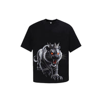 BỘ THUN  HỔ BẠC